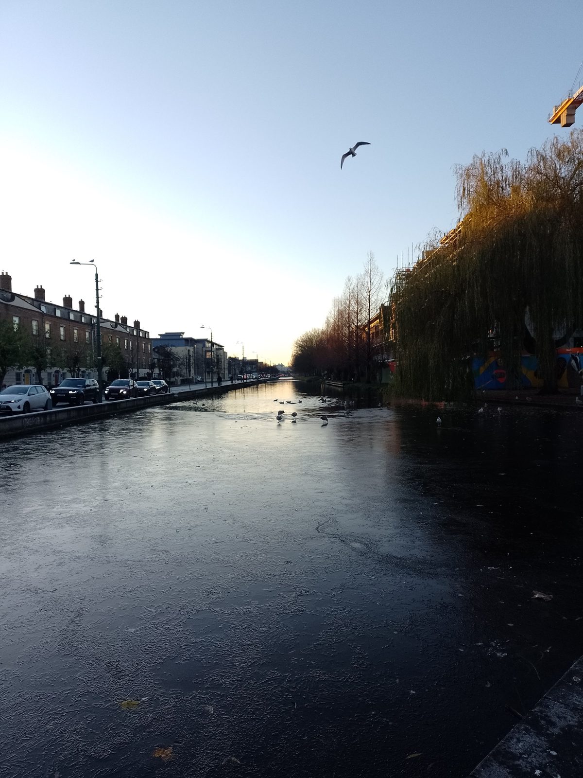 El Grand Canal congelado en invierno, Dublín